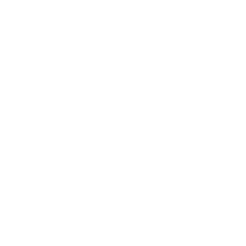 Ski Jumping